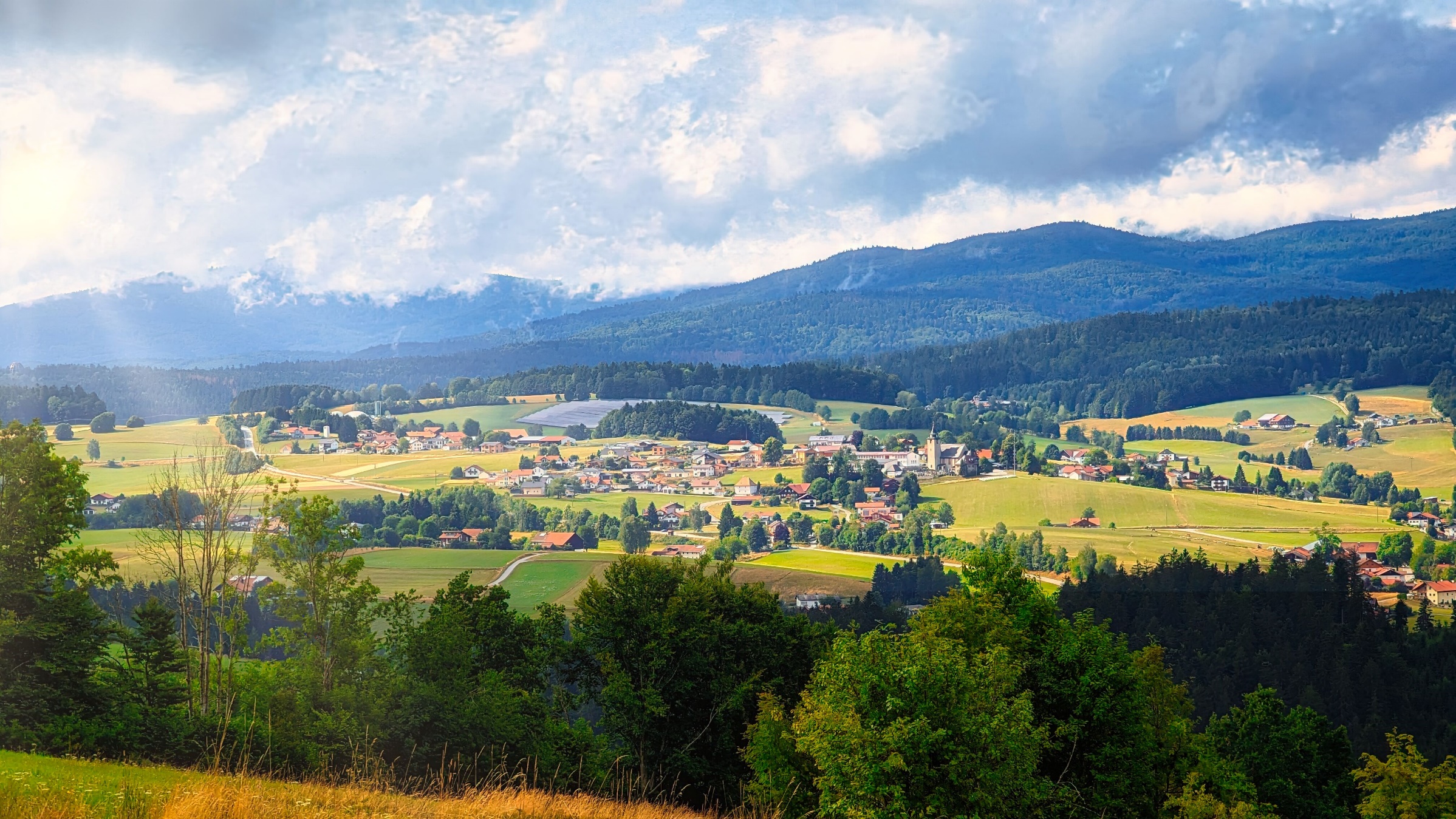 Perspektive 1: Verschmelzung von Natur und Technik
