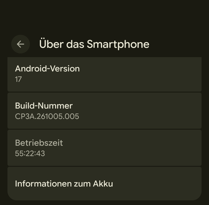 Über das Smartphone: Build-Nummer